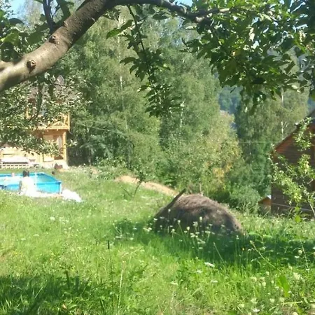 Gasthuis Gutsulochka