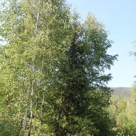 Gutsulochka * Jaremtsje