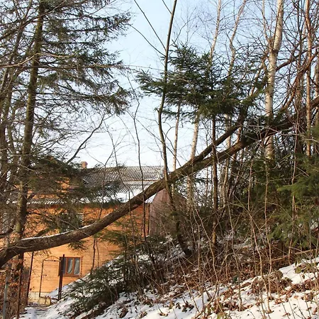 Gasthuis Gutsulochka Jaremtsje