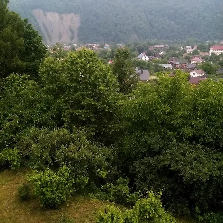 Gutsulochka Affittacamere