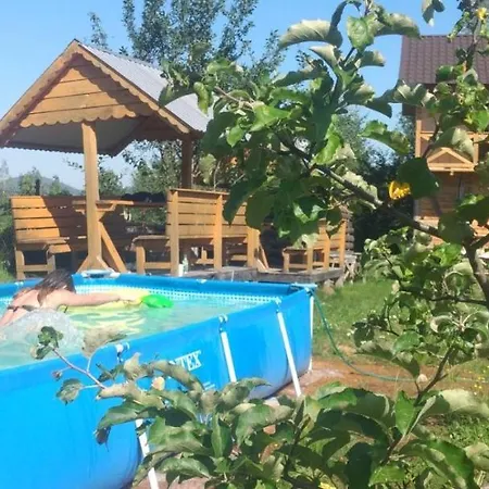 Gutsulochka Guest house *