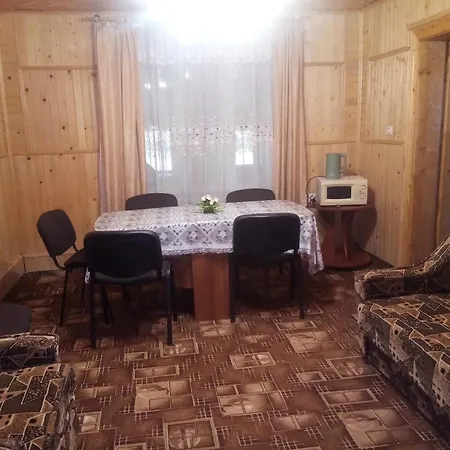 Gutsulochka Guest house *