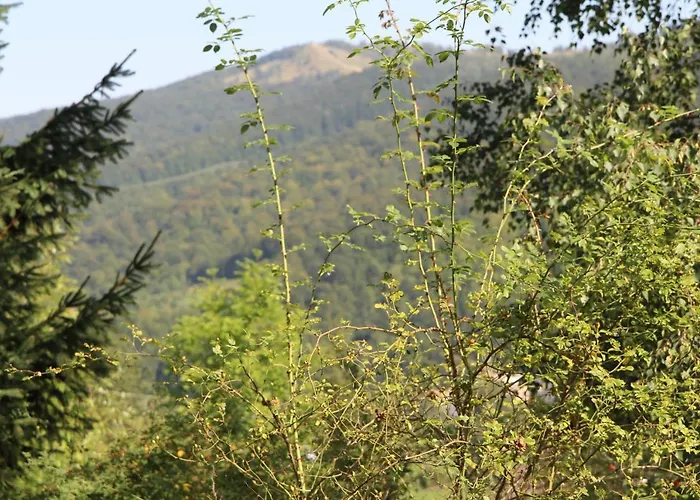 Gutsulochka