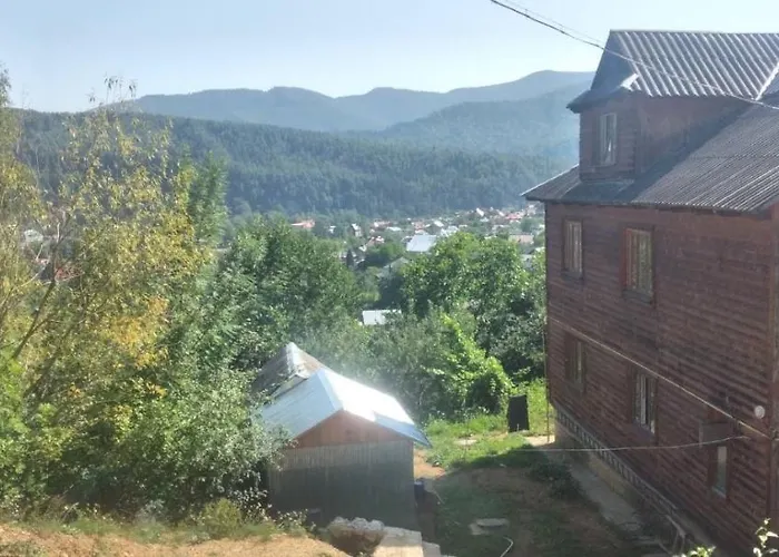Gasthuis Gutsulochka *