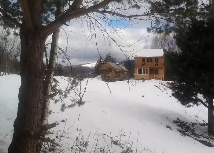 Gutsulochka *
